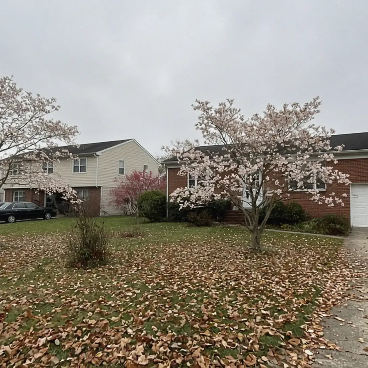 Suburban street of ranch and split-level homes with leaf-covered lawns